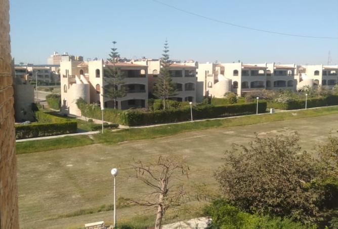 صورة العقار