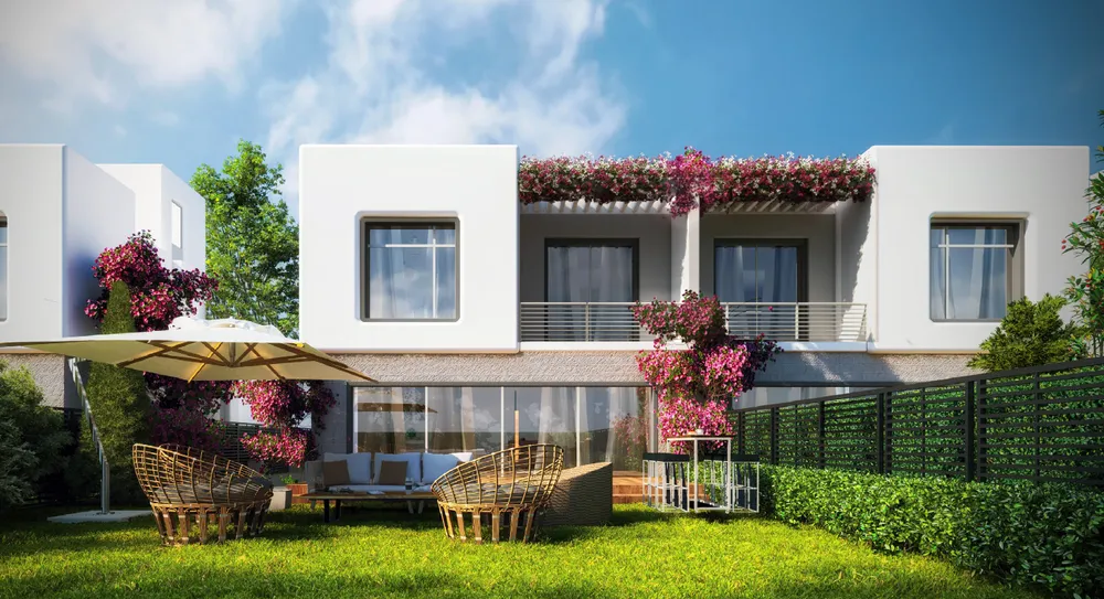 صورة العقار