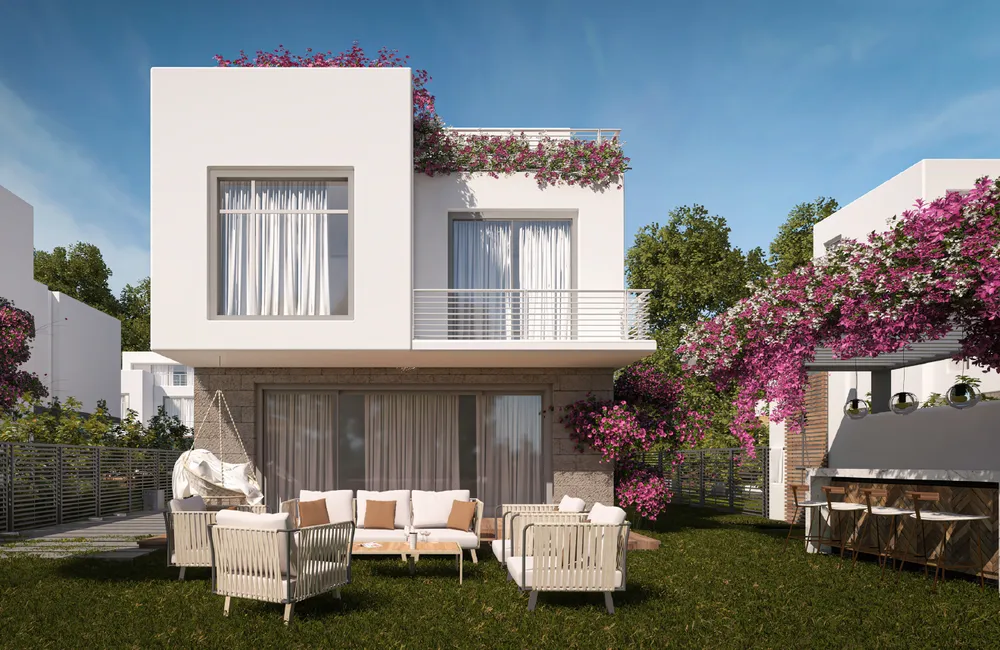 صورة العقار