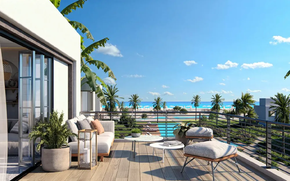 صورة العقار