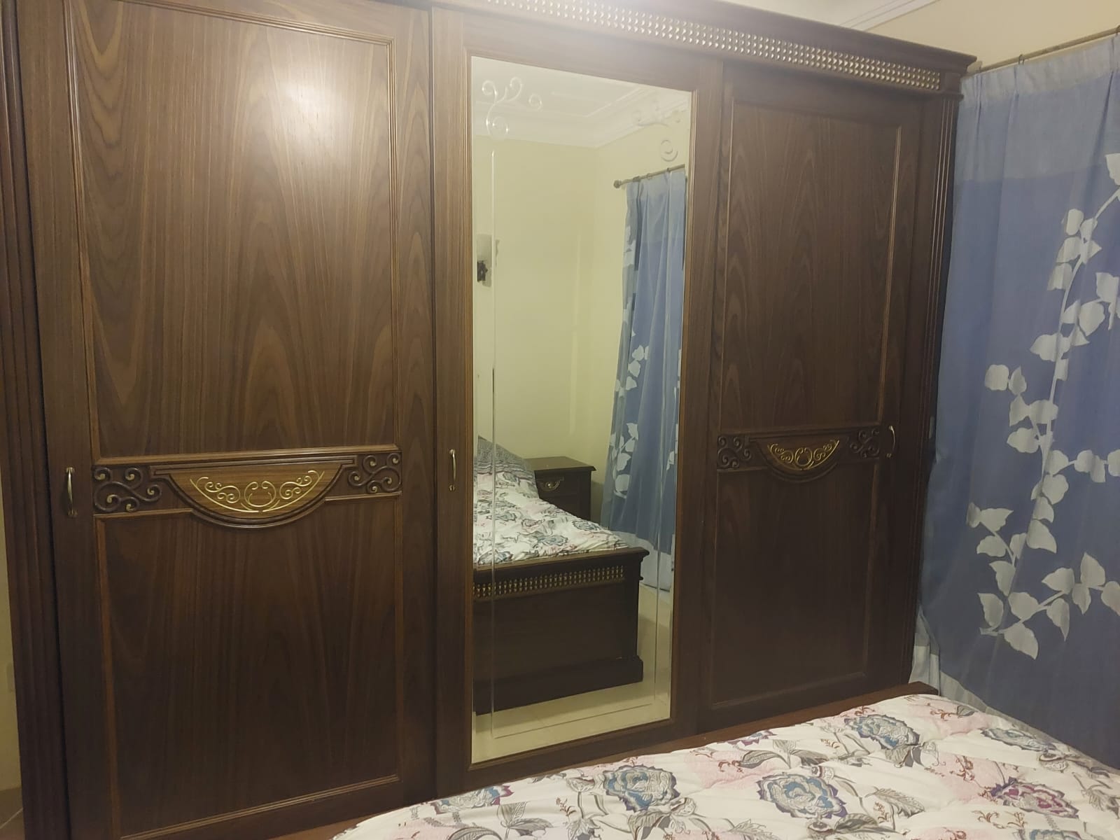 صورة العقار