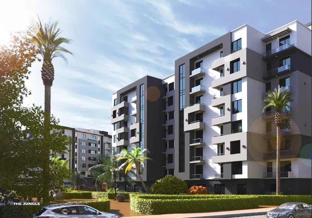 صورة العقار