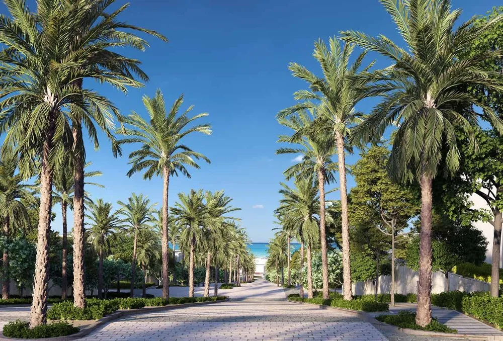 صورة العقار