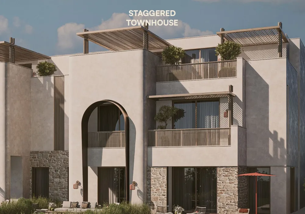 صورة العقار