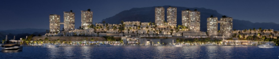 صورة العقار