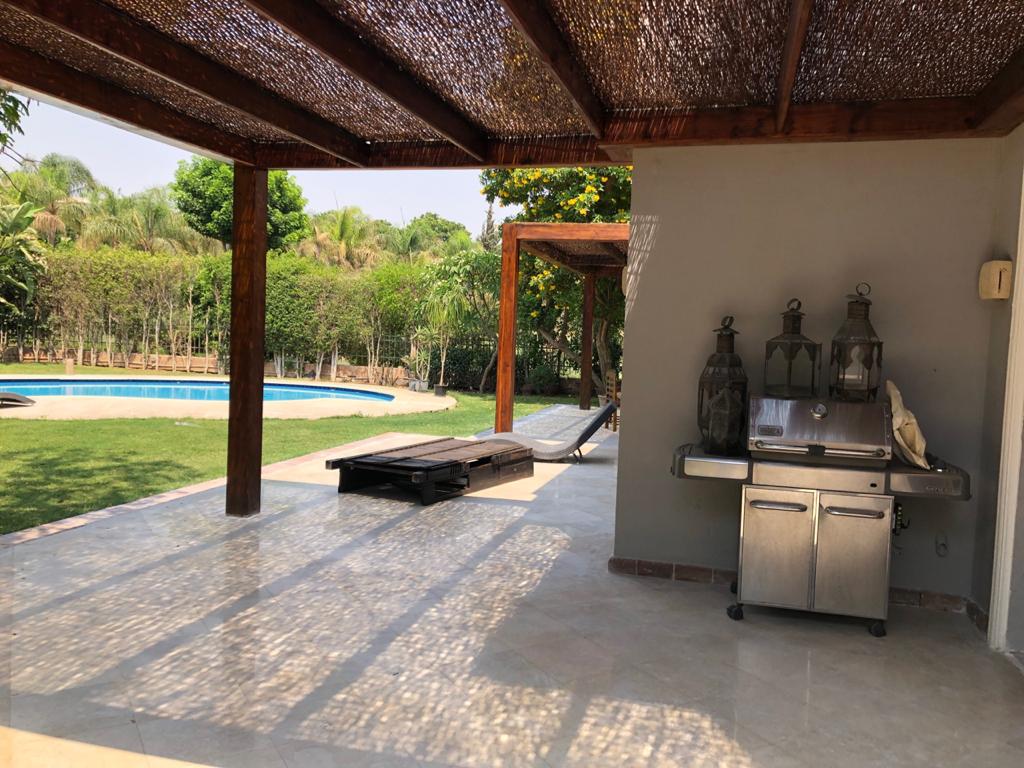 صورة العقار