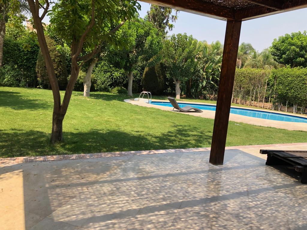 صورة العقار