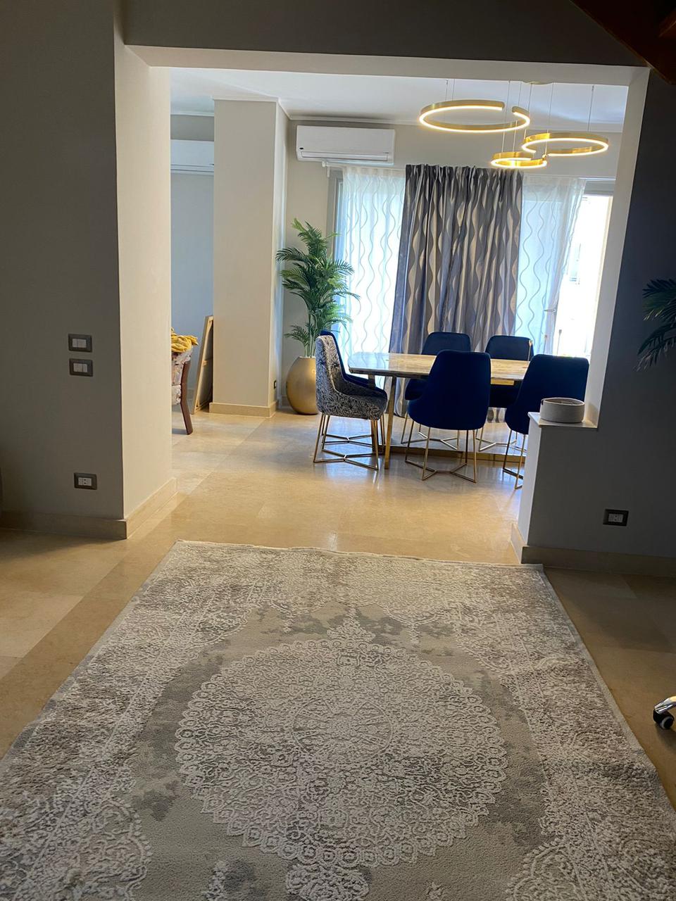 صورة العقار