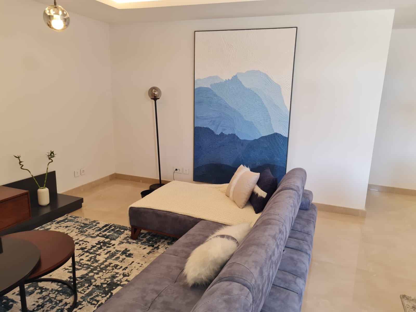 صورة العقار