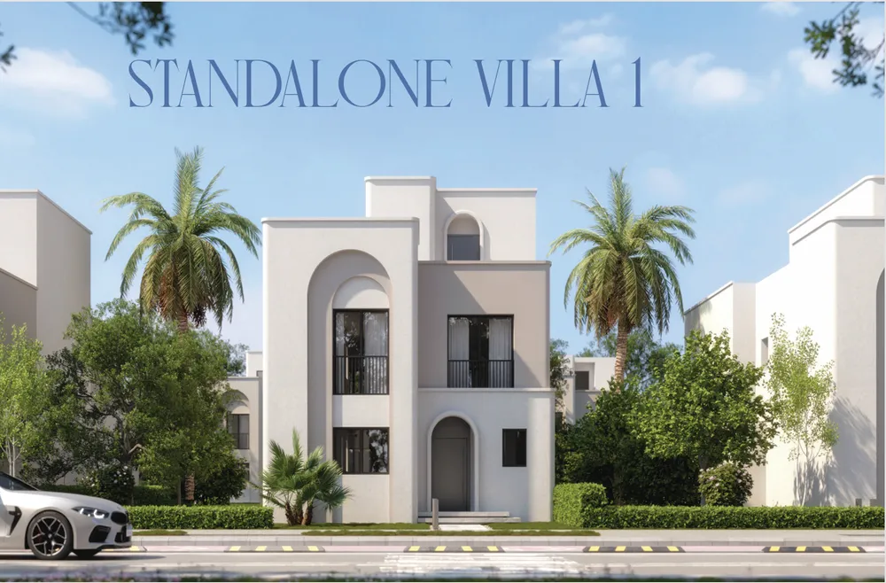 صورة العقار