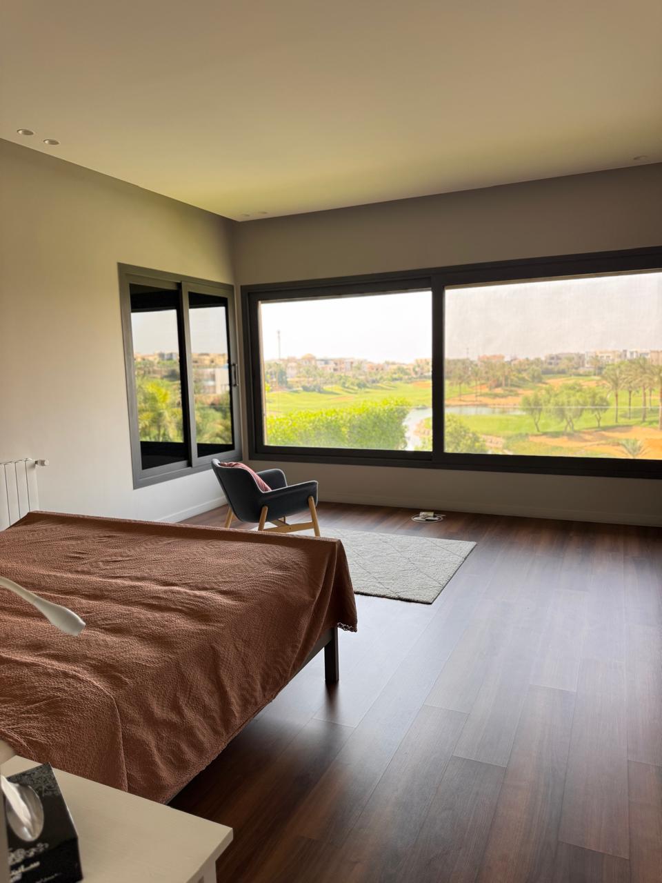 صورة العقار