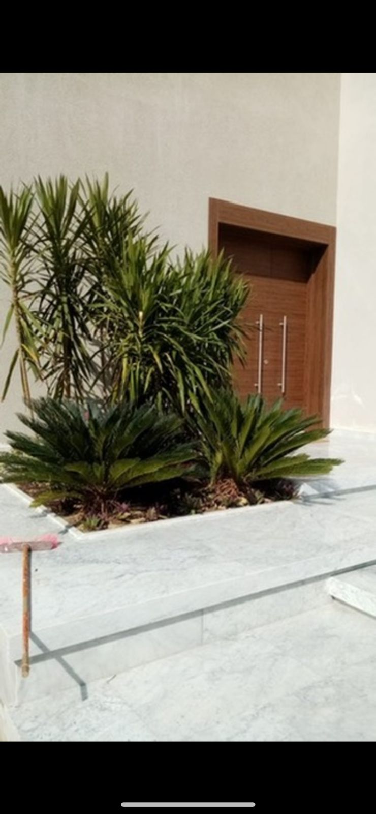 صورة العقار