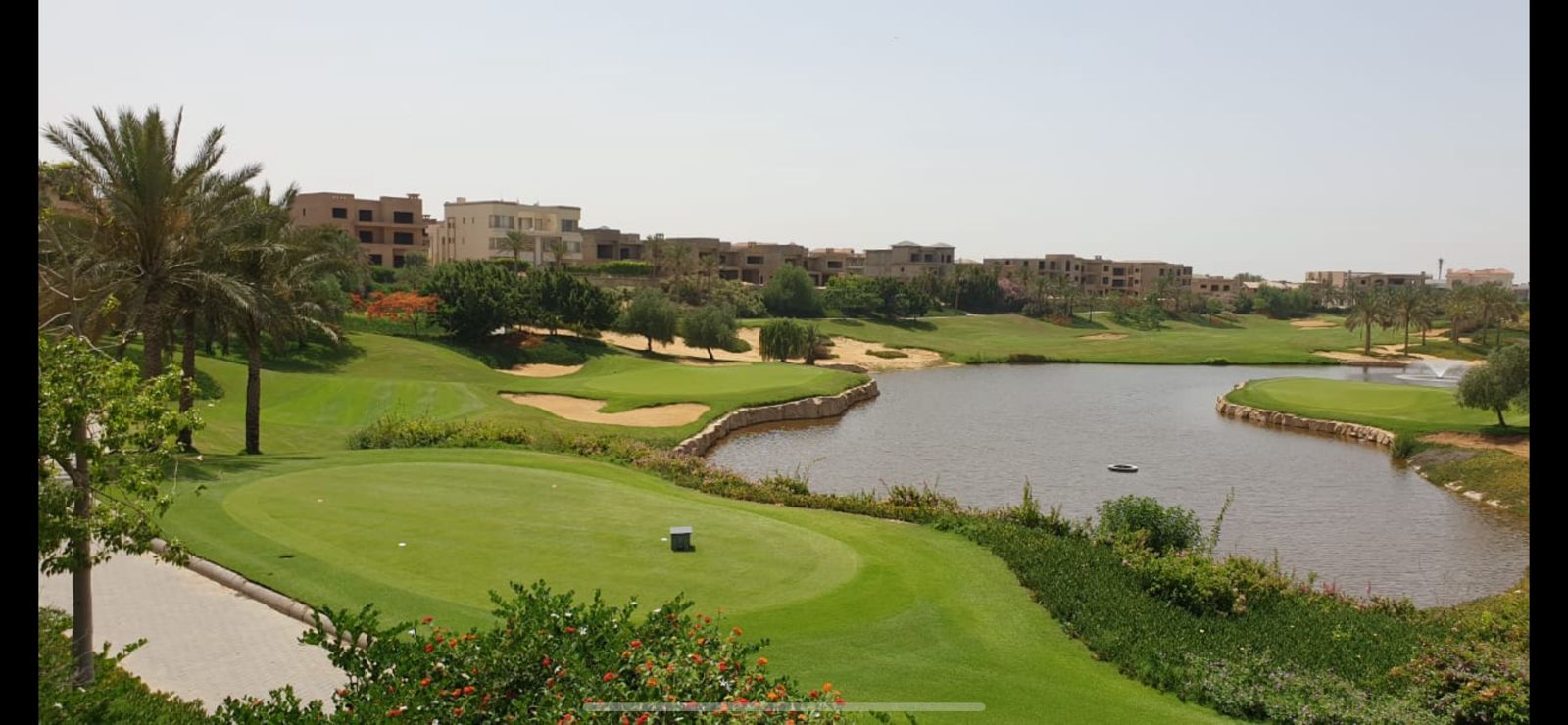 صورة العقار