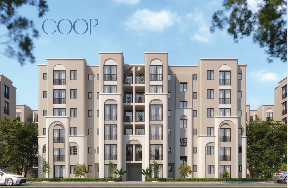 صورة العقار