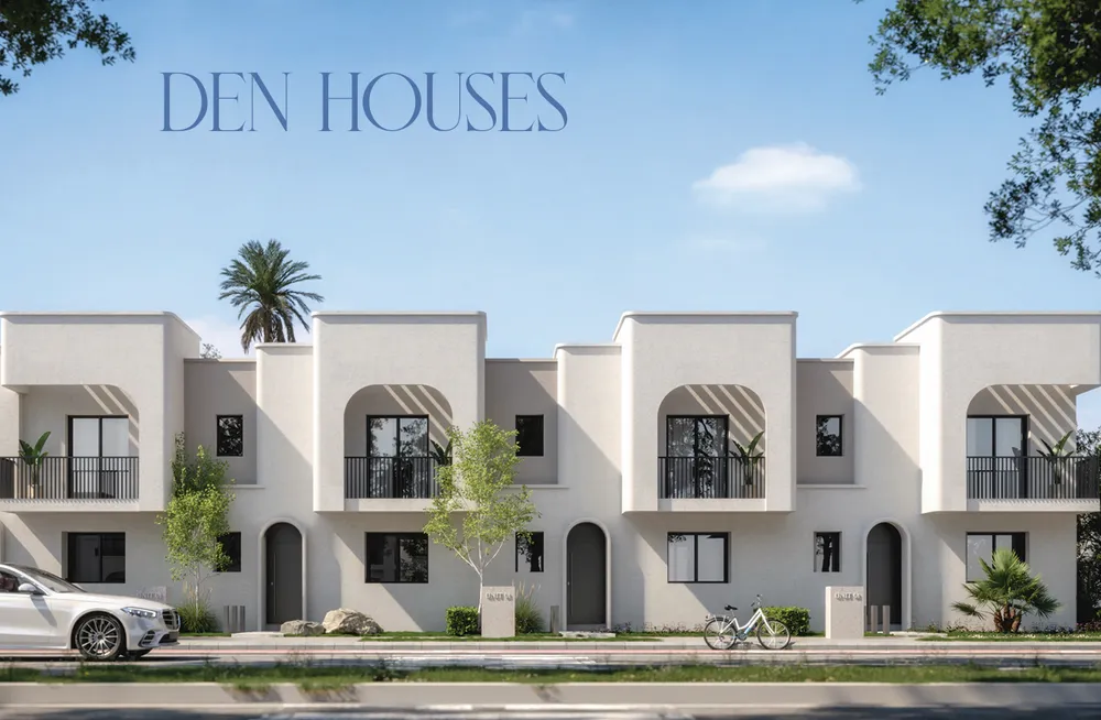 صورة العقار