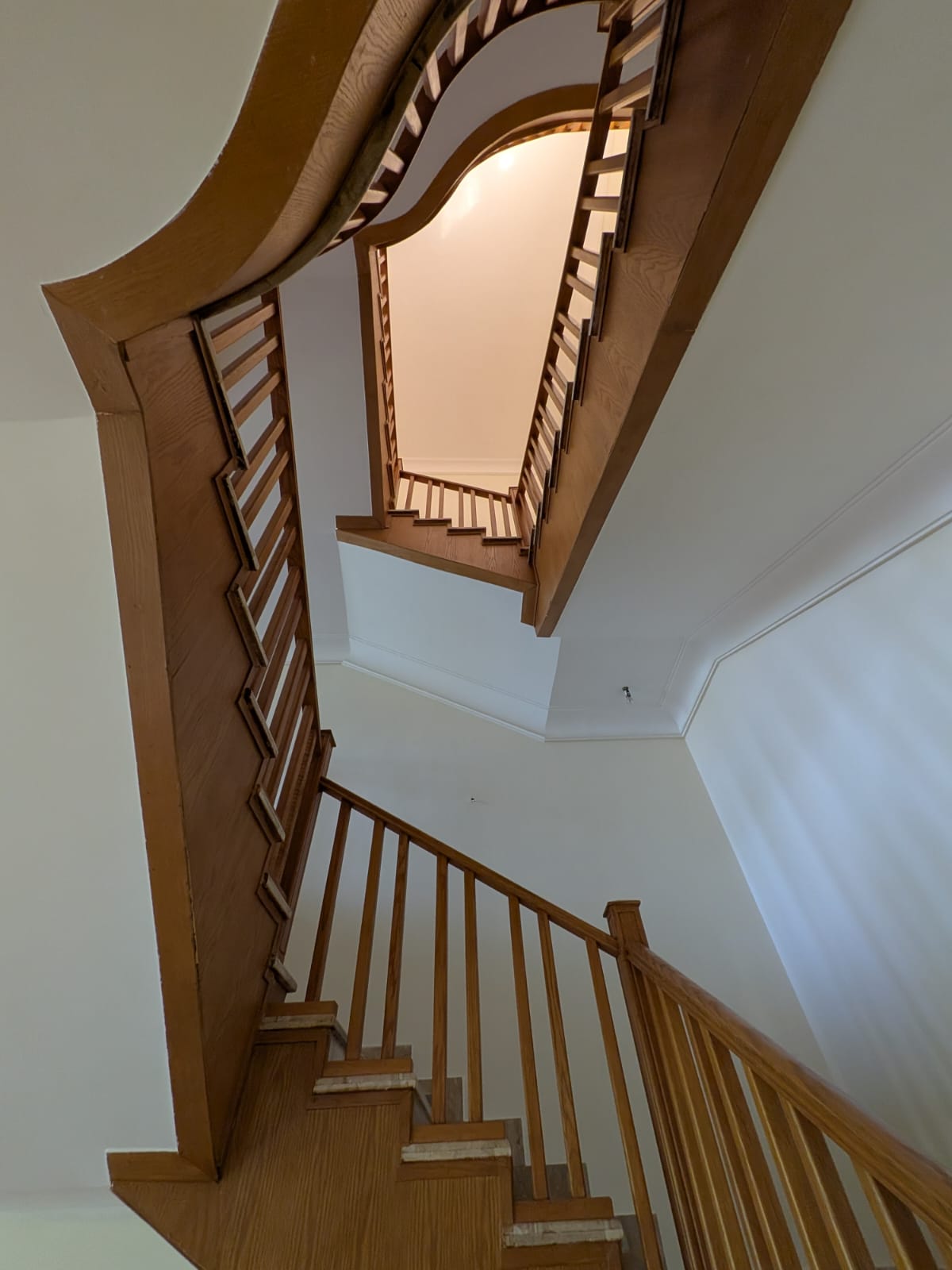 صورة العقار