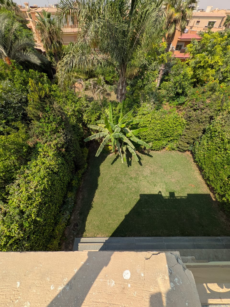 صورة العقار