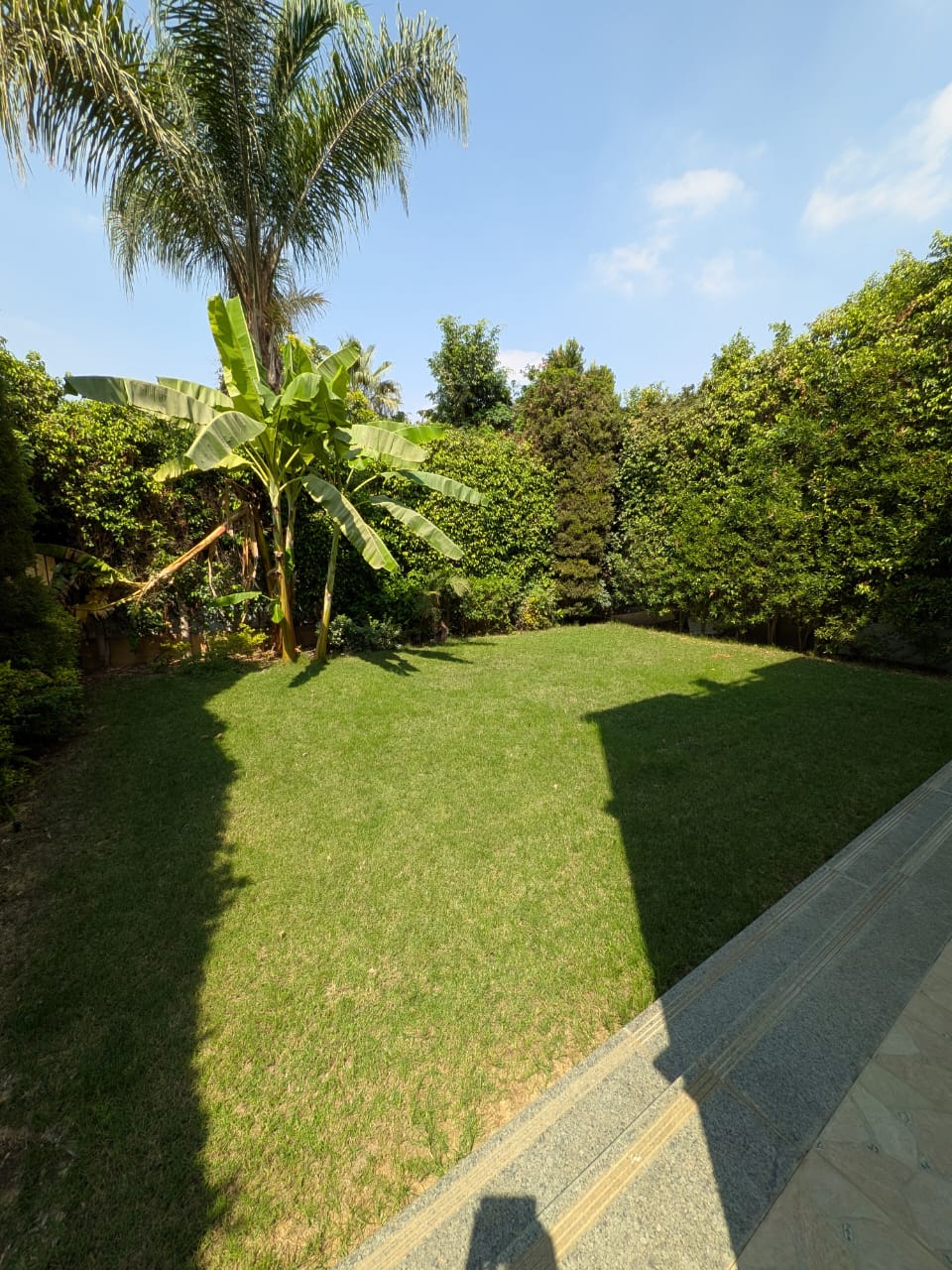 صورة العقار