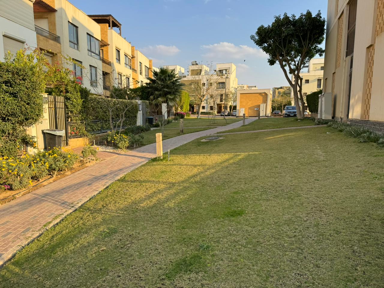 صورة العقار