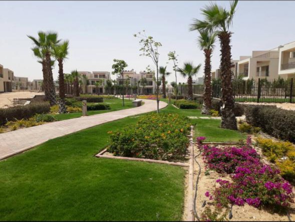 صورة العقار