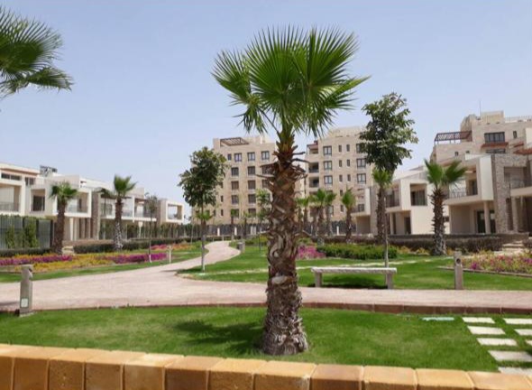 صورة العقار