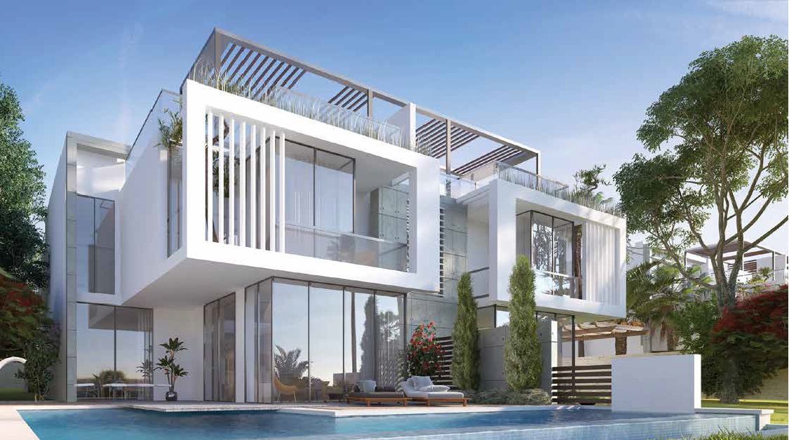 صورة العقار