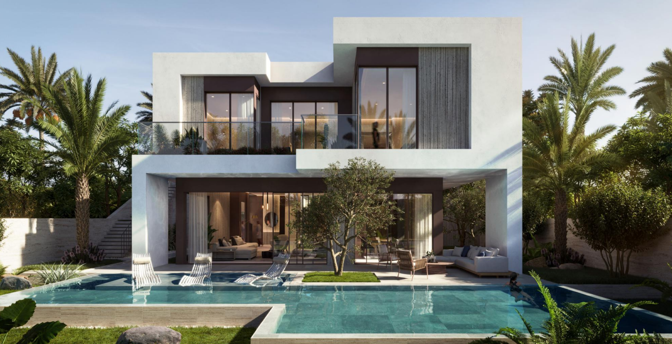 صورة العقار