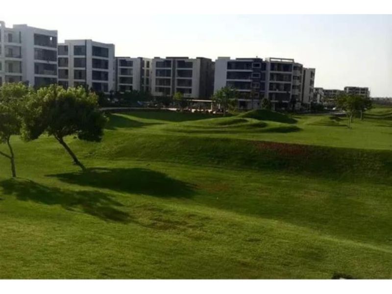 صورة العقار