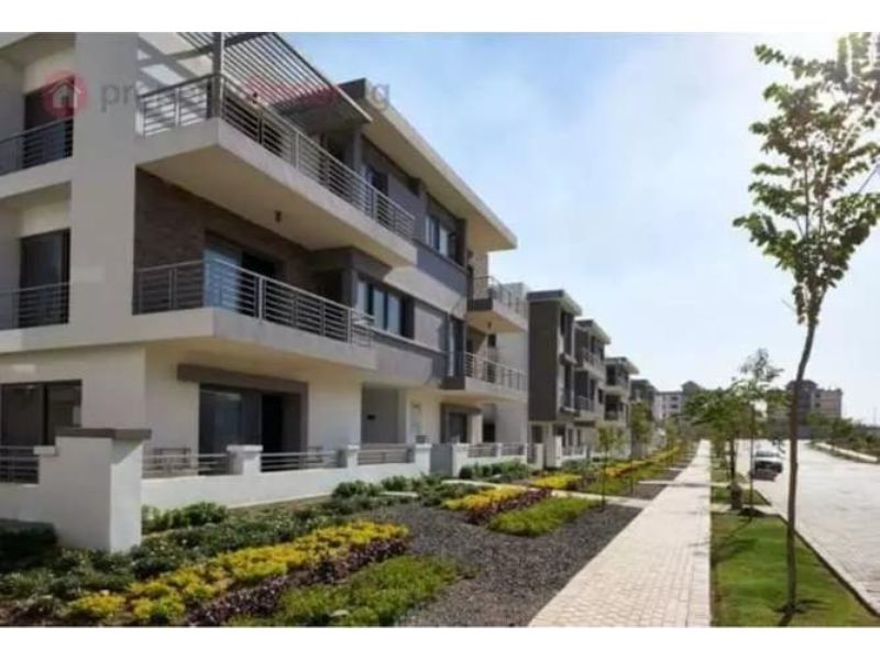 صورة العقار