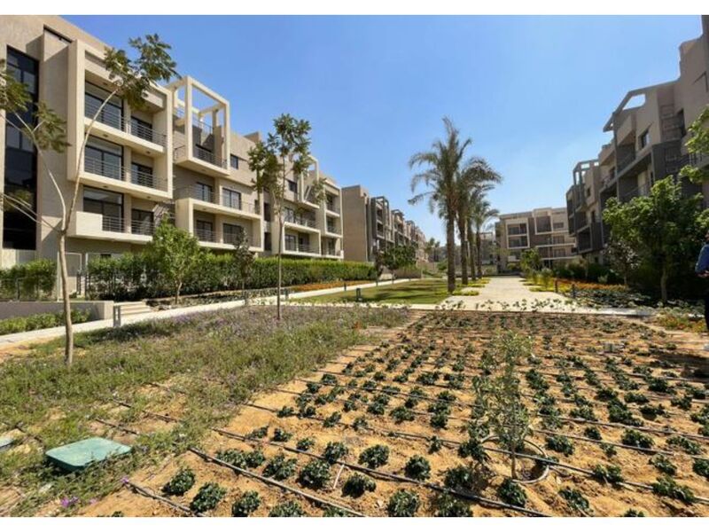 صورة العقار