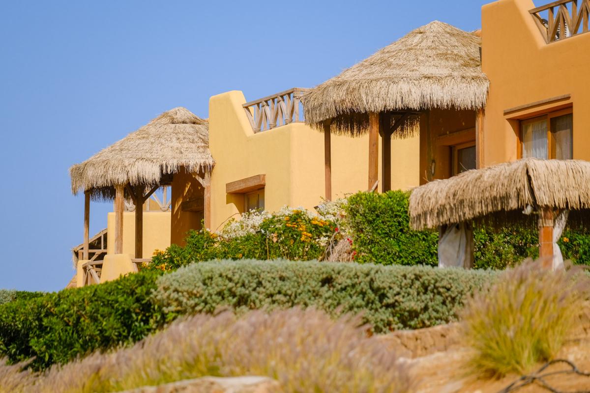 صورة العقار