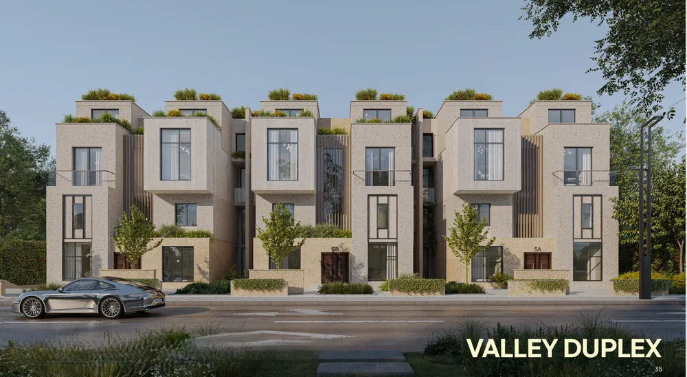 صورة العقار