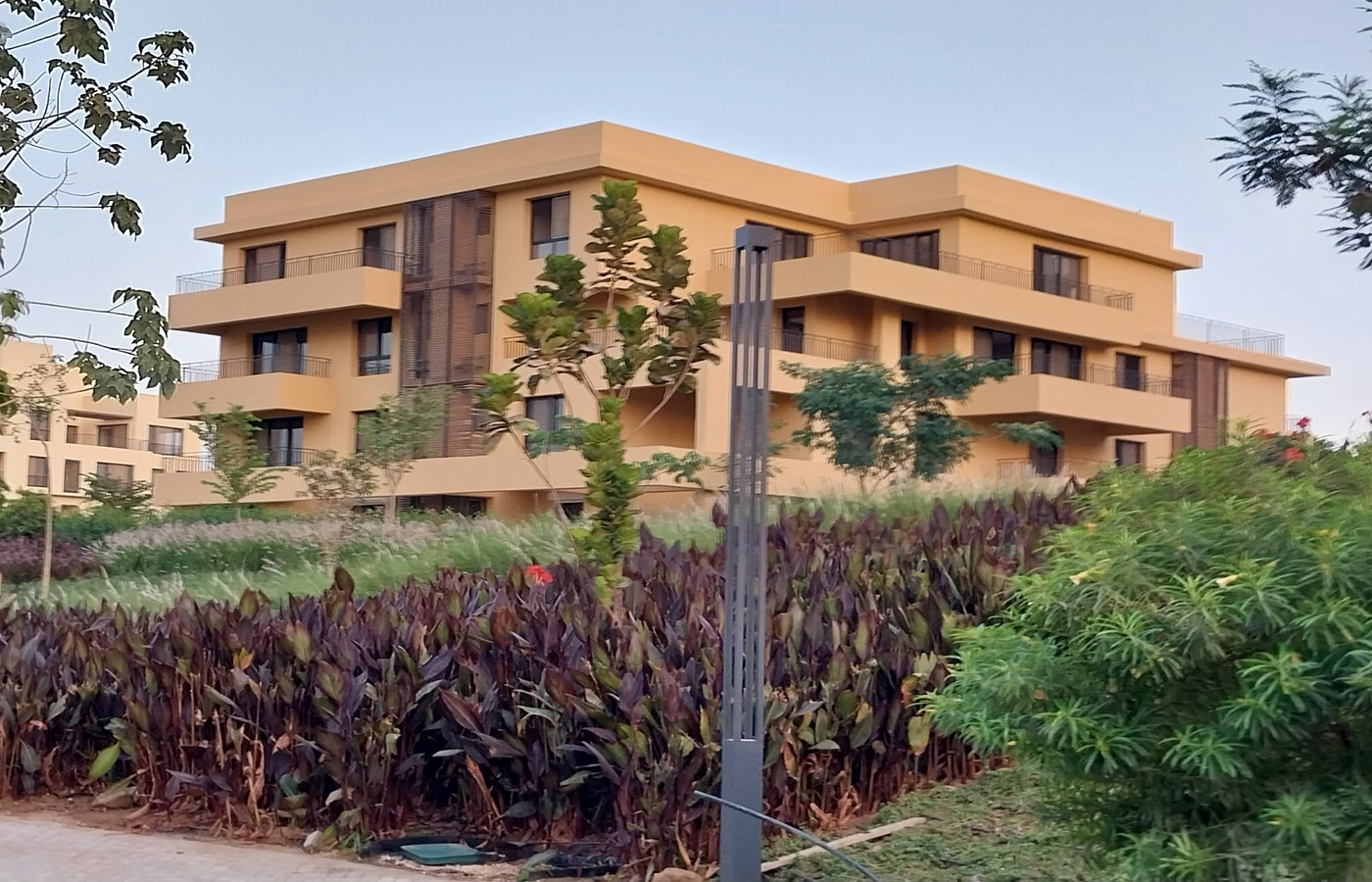 صورة العقار