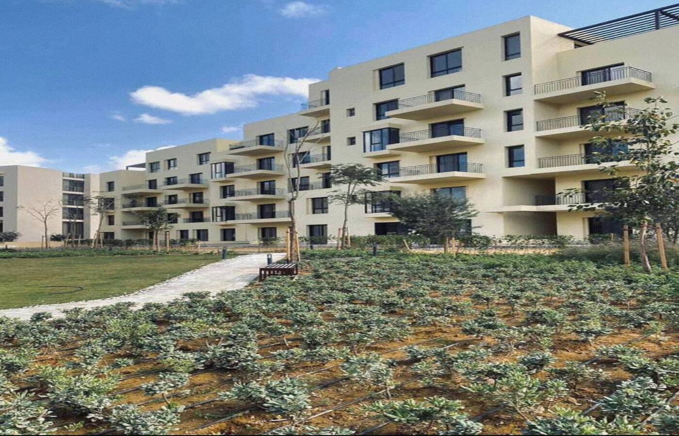 صورة العقار