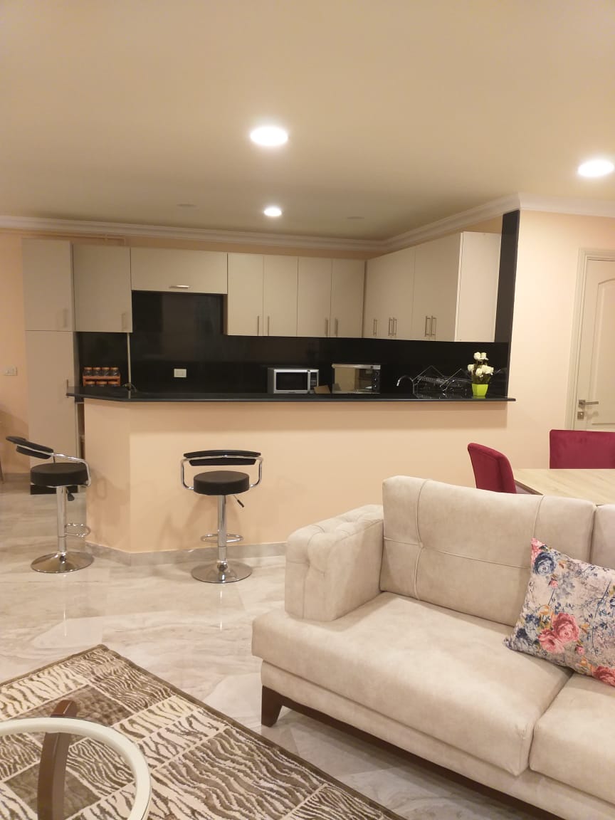 صورة العقار