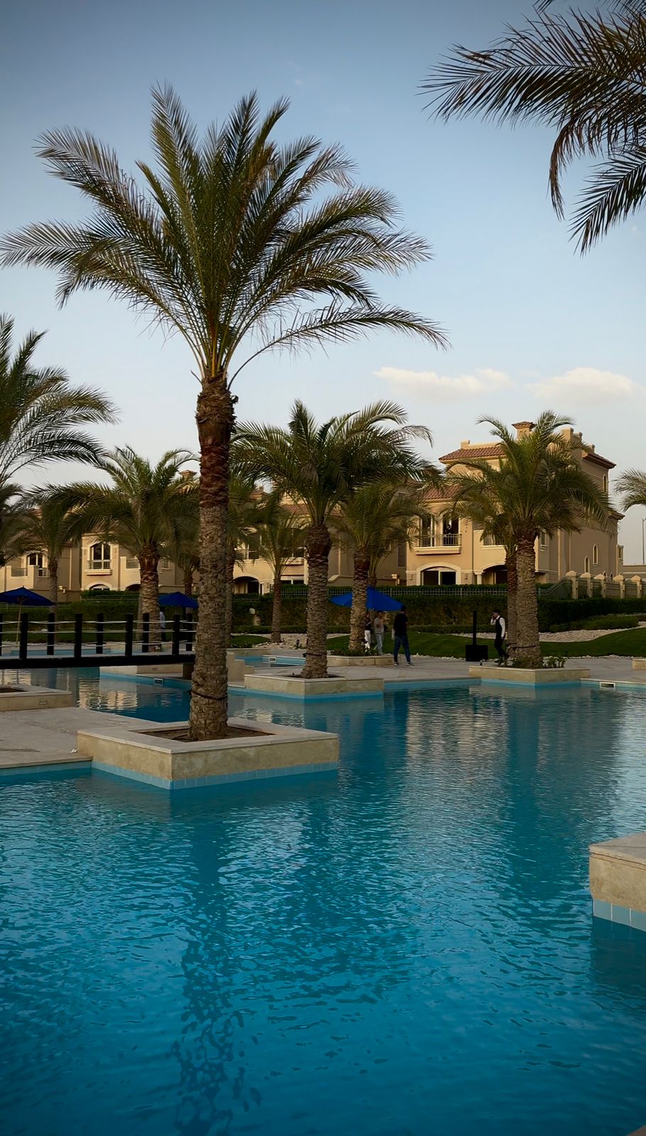 صورة العقار