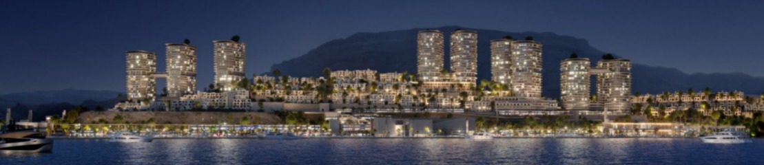 صورة العقار