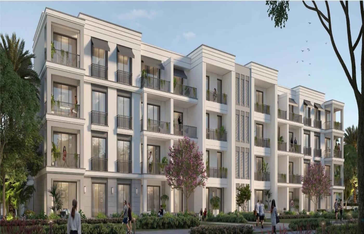 صورة العقار