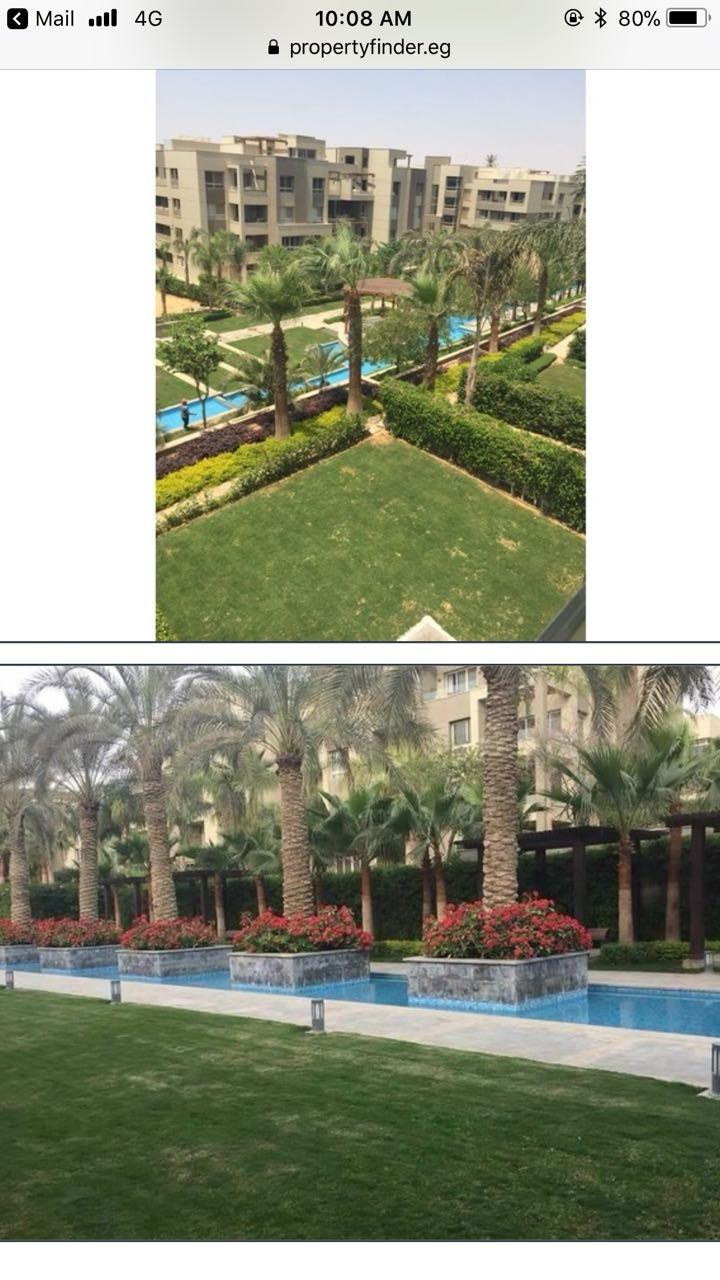 صورة العقار