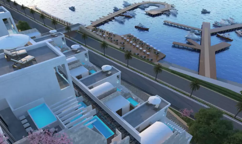 صورة العقار