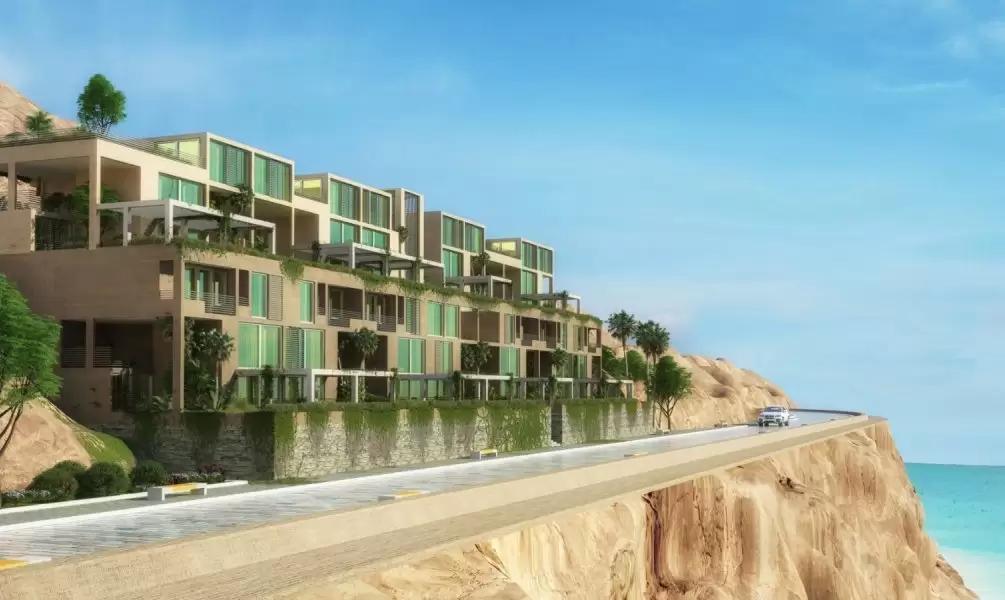 صورة العقار