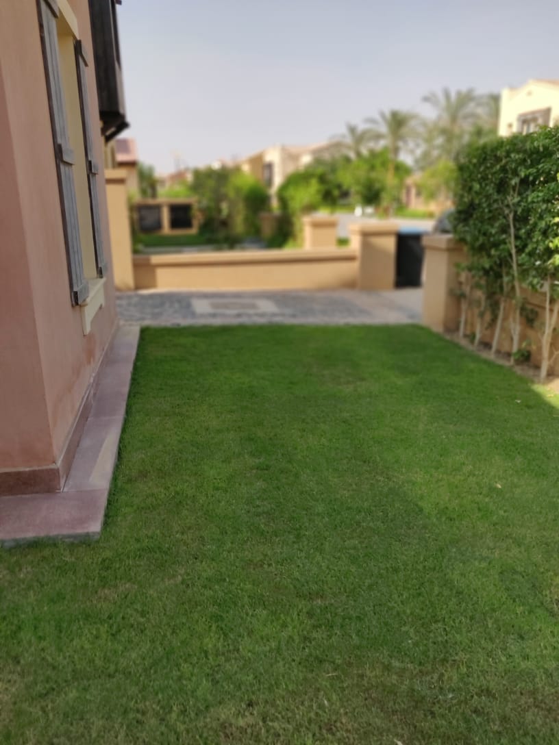 صورة العقار