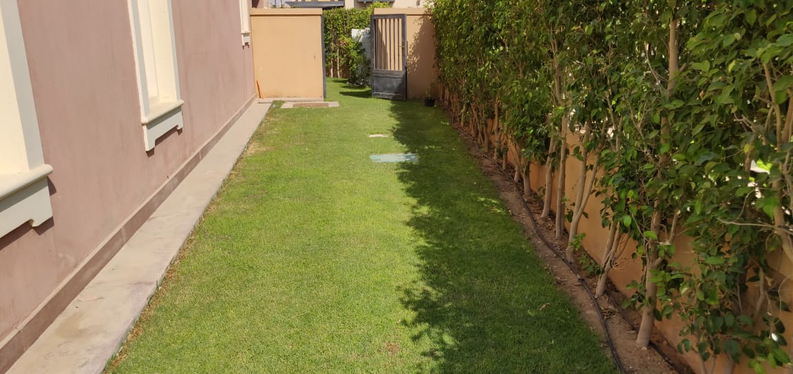 صورة العقار