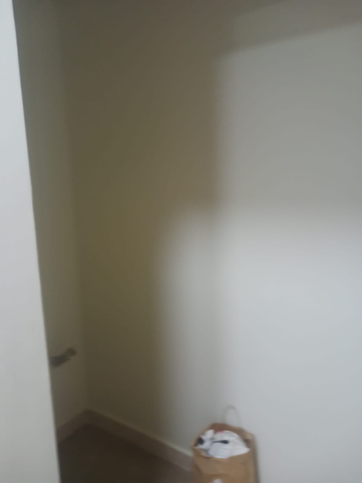 صورة العقار