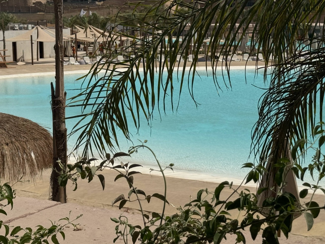 صورة العقار