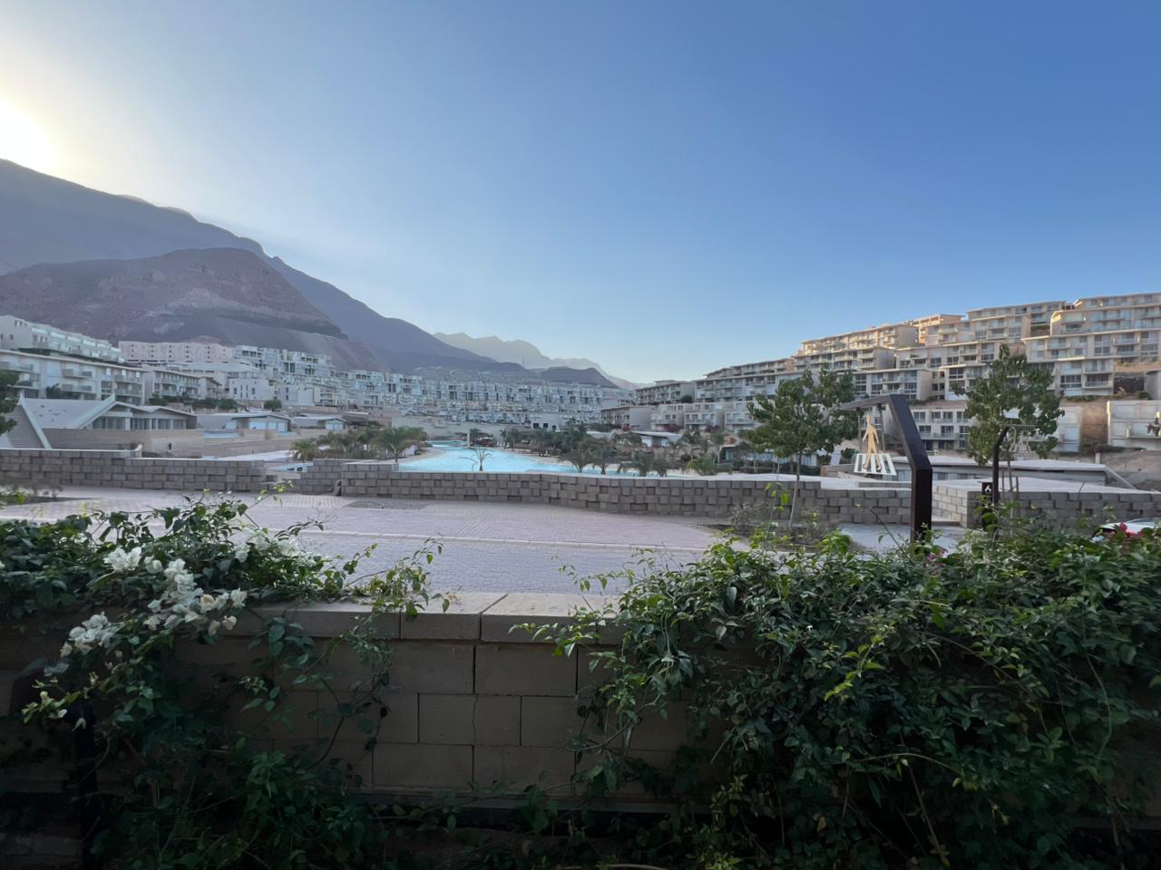 صورة العقار