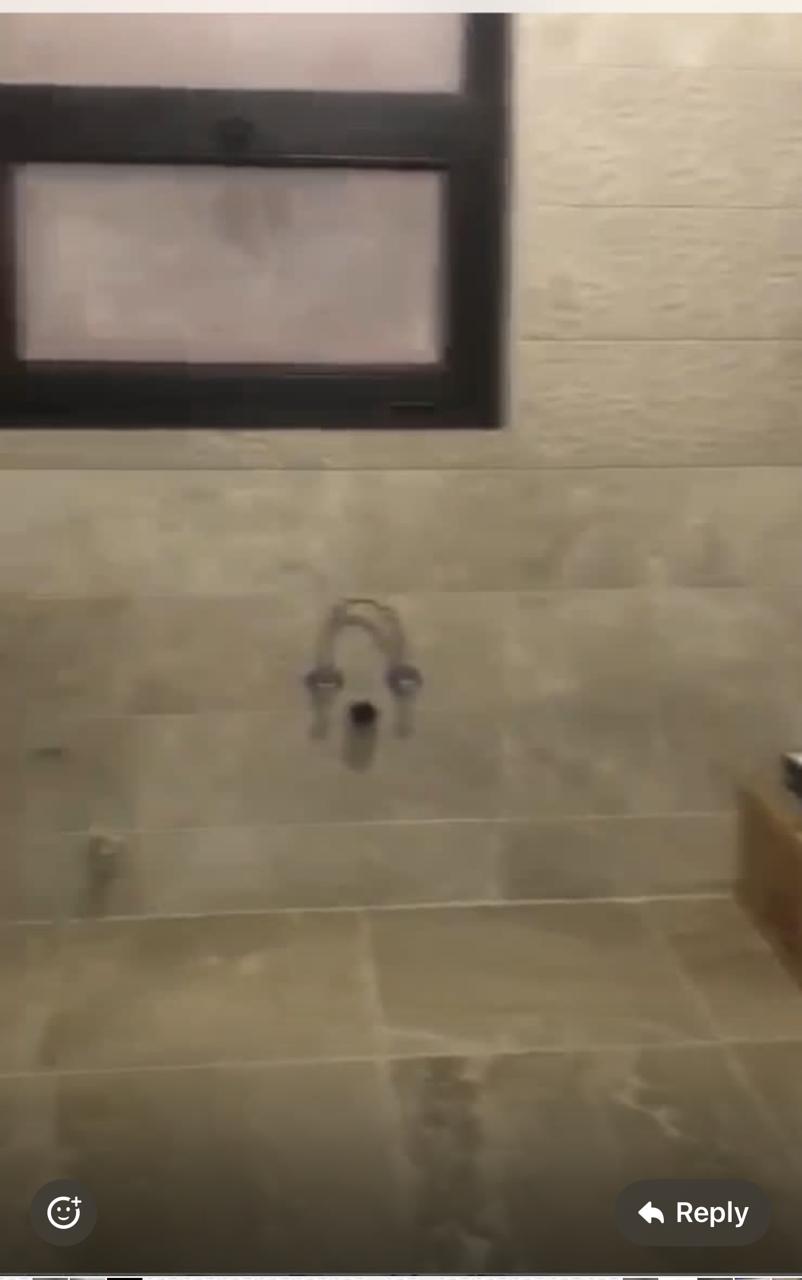 صورة العقار