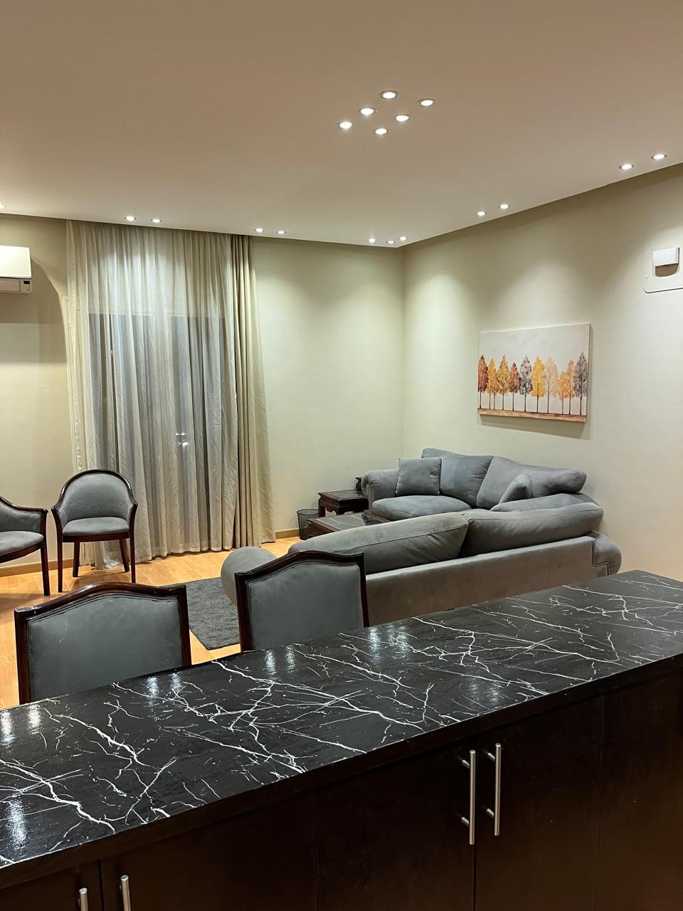 صورة العقار