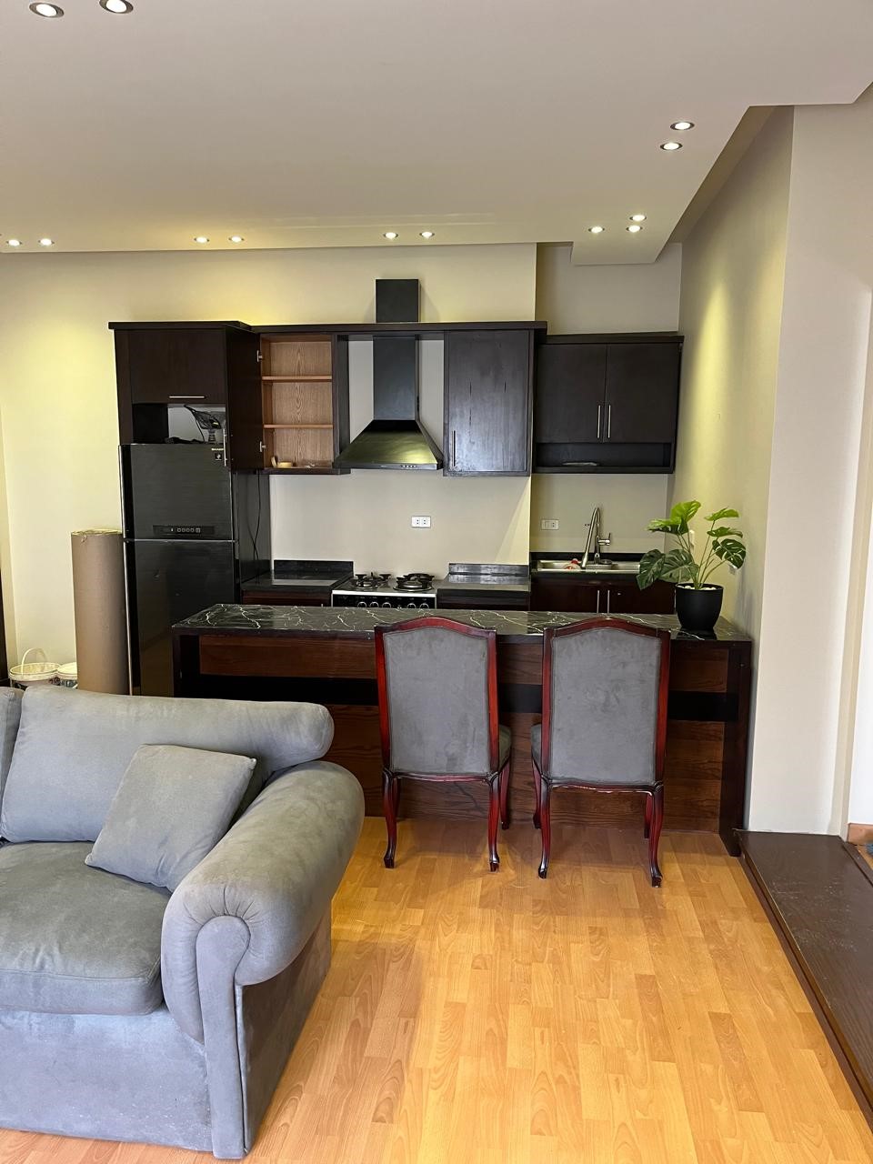 صورة العقار