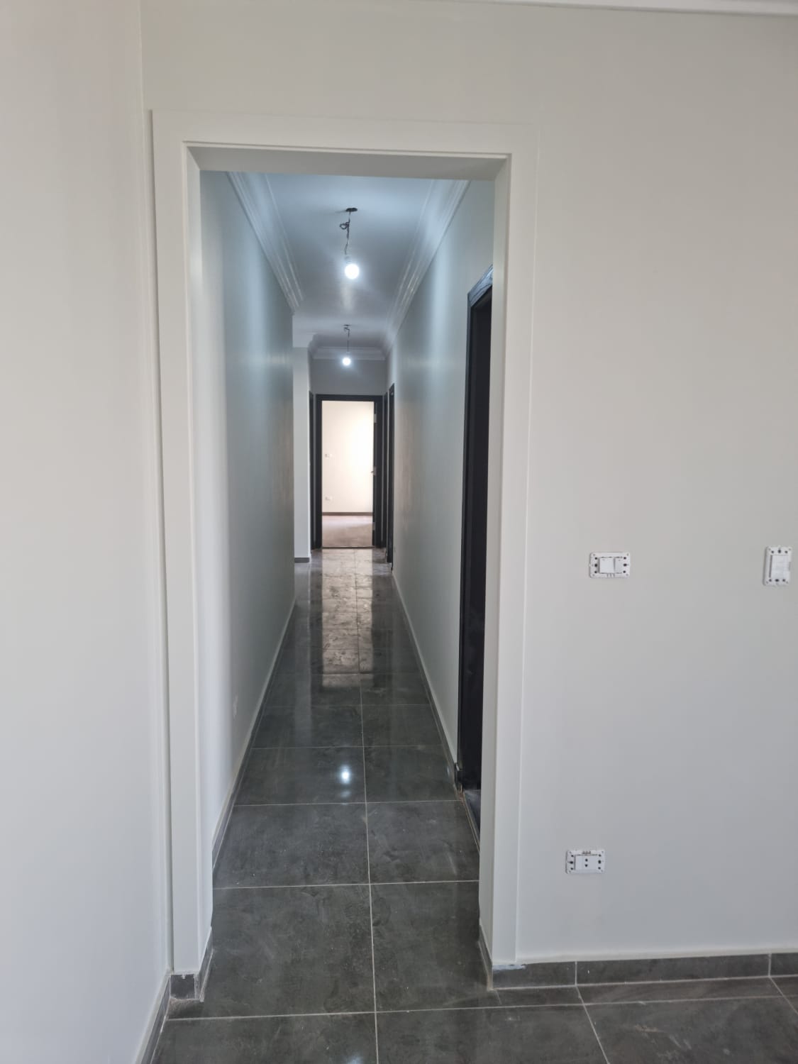 صورة العقار